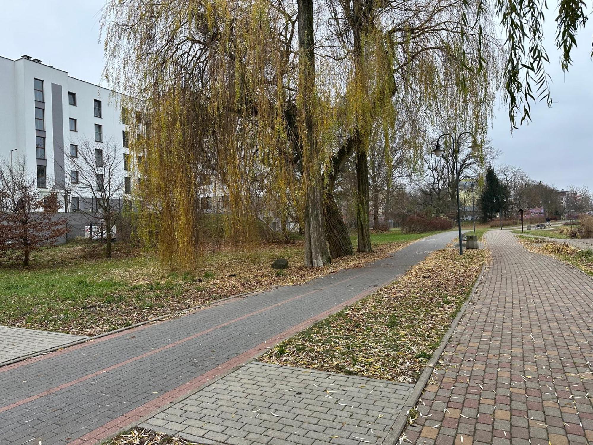 Apartament Kosciuszki 33F Iława Zewnętrze zdjęcie