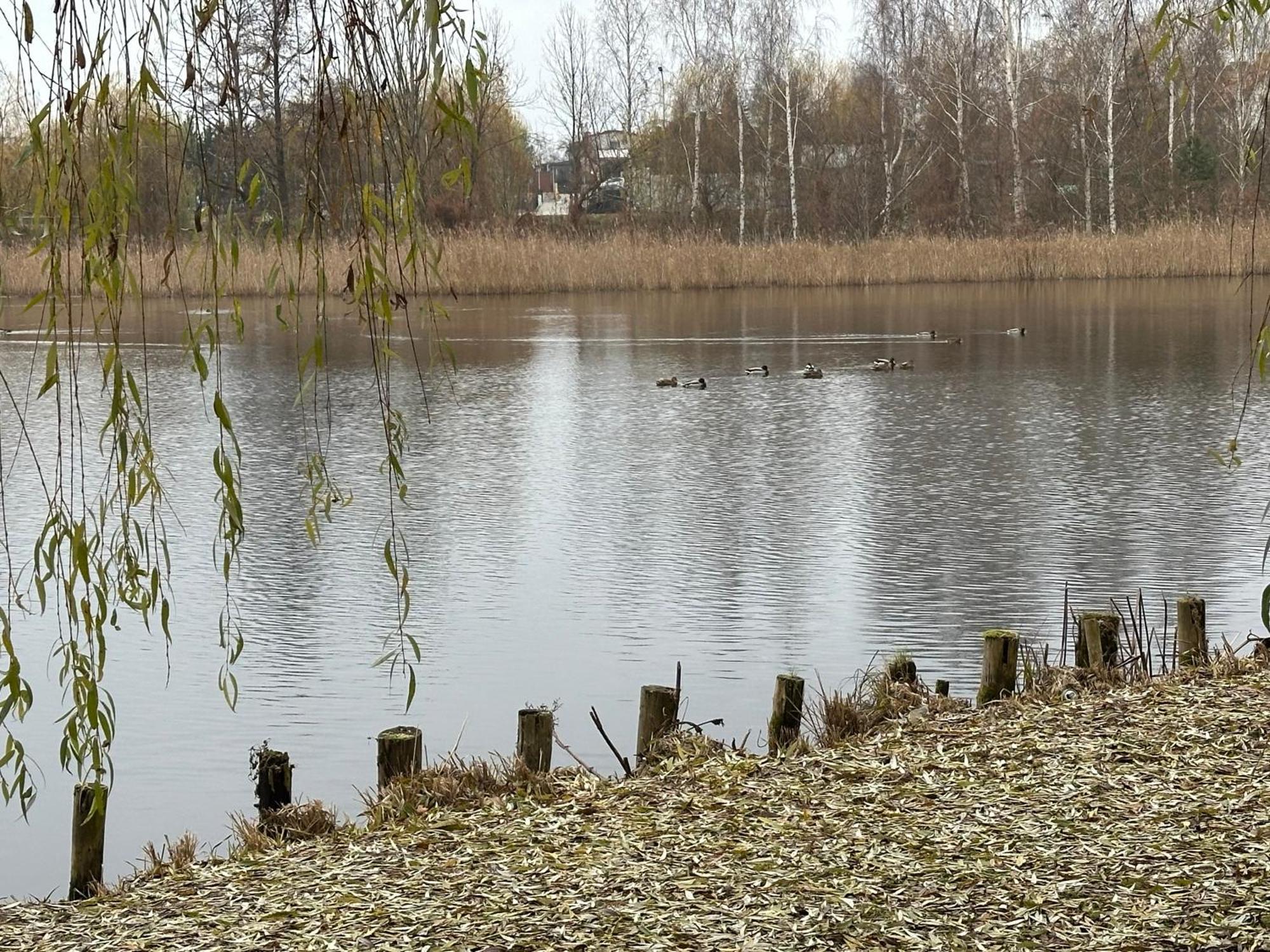 Apartament Kosciuszki 33F Iława Zewnętrze zdjęcie